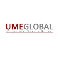 UME Global Corporate Finance House logo - Similar company to Arya Finance & Software