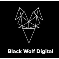 Black Wolf Digital logo - Similar company to Black Wolf Agency