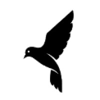 BlackSparrow logo - Similar company to Dowkaa