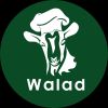 Walad Aqiqah Indonesia logo - Similar company to Surabe