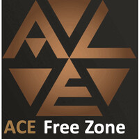 Ace Group Georgia LTD logo - Similar company to Construction Service