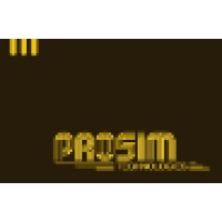 Prosim Technologies logo - Similar company to Infomatical