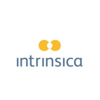 OTISS - Intrinsica Technology Ltd logo - Similar company to Pear Technology — Digital Mapping Services