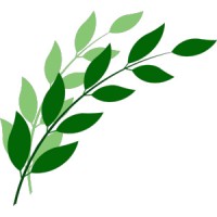 #TerresCathares logo - Similar company to #Terressens Studio