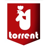 Torrent i Fills logo - Similar company to Altamon