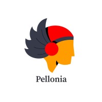 Pellonia logo - Similar company to Dej