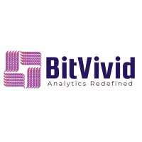 Bitvivid Solutions logo - Similar company to Baari Labs