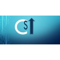 Capstone Solutions India logo - Similar company to Capstone It Solutions