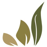 Plántula Herbolario logo - Similar company to Herbolario De Confianza