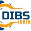 DIBS ENGINEERING logo - Similar company to Aniweb84