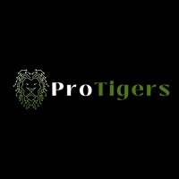 ProTigers logo - Similar company to Eazybit Solution