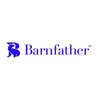 Barnfather IP logo - Similar company to Synkora Consulting
