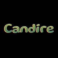 Candire Inc logo - Similar company to Fides Mortgages