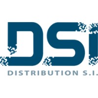 Distribution S.I. logo - Similar company to Skylink Wireless