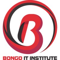 Bongo IT Institute logo - Similar company to Bongo It Limited