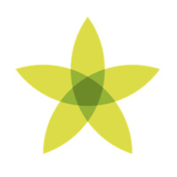 Scrollytelling GmbH logo - Similar company to Soatech Gmbh