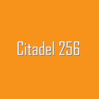Citadel256 logo - Similar company to Divvyservices.Com
