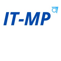 It - Management Professionals