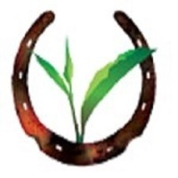 Purvi Discovery logo - Similar company to Padmavati Tours & Travel