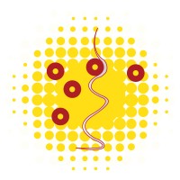INSCOMI TECHNOLOGY SERVICES PRIVATE LIMITED logo - Similar company to Massive It Solution