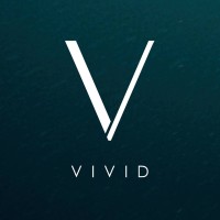 Vivid Virtual Reality Cinema