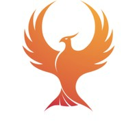 Next Level Training Wellness and Fitness logo - Similar company to Body360 By Einat
