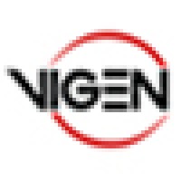 Vigen