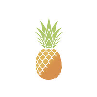 CocoPiña logo - Similar company to Pituca Chips