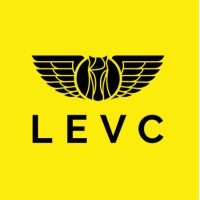 LEVC TX Access logo - Similar company to Maging