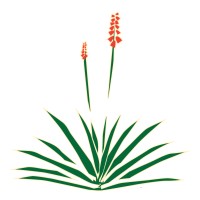 Durango Nursery and Supply logo
