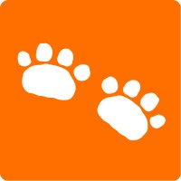 Douala Stories logo - Similar company to Institute Of Management And Information Technology Douala
