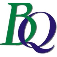 BQT Digital Marketing logo - Similar company to Bringcalls.Com