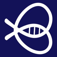 IdeaBee logo - Similar company to Voodootix