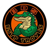 BDS ESTP - Campus de Troyes logo - Similar company to Afro Estp