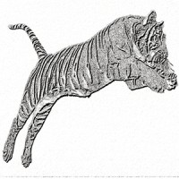 Voorsprong Advies logo - Similar company to Momonk