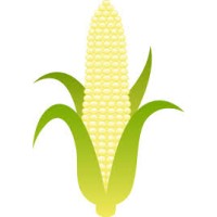 Hybrid Strategies, Inc.