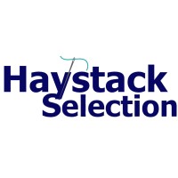 Haystack Selection logo - Similar company to Haystack Professional Recruiting