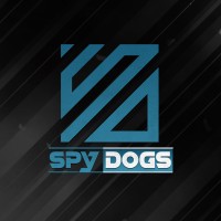 SDZ logo - Similar company to Sdz Support Technologies And Services Limited
