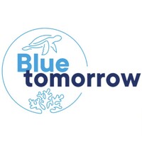 Blue Tomorrow logo - Similar company to Onlysmile