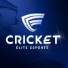 Cricket Elite Esports logo - Similar company to Gyroz Studio