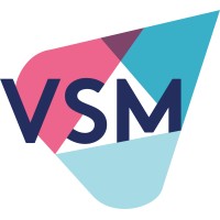 Vision Strategy Marketing logo - Similar company to Viral Display