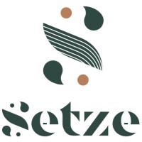 Setze Consulting logo - Similar company to Connect'Sens