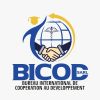 BUREAU INTERNATIONAL DE COOPERATION AU DEVELOPPEMENT logo - Similar company to Smart Security Solutions