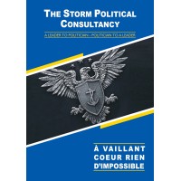 THE Storm Political Consultancy logo - Similar company to Prism Political Consultancy Services Llp