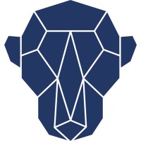 Blue Apes Consulting GmbH logo - Similar company to Hanseflow® Gmbh (As Of 2024 Wargitsch Ag)