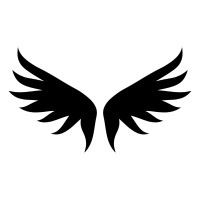 Icarus logo - Similar company to Flyby Robotics