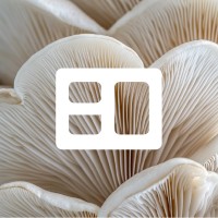 Ato Studio logo - Similar company to Dice Media Ξξ