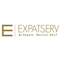 Expatserv logo - Similar company to Electrasaur India