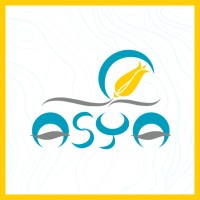 Asya Grup A.Ş logo - Similar company to Mimtek Akademi