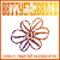 Betty Belts - Ocean Inspired Accessories